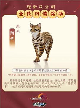 天龙八部私服：打造属于你的江湖传说，成为传奇人物